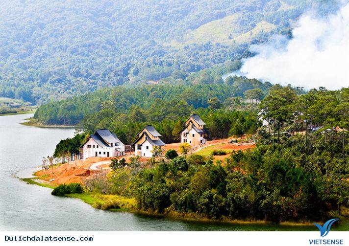 Thiên đường lạc lối giữa những khu vườn cổ tích ở Đà Lạt - Ảnh 3 Thiên đường lạc lối giữa những khu vườn cổ tích ở Đà Lạt - Ảnh 3