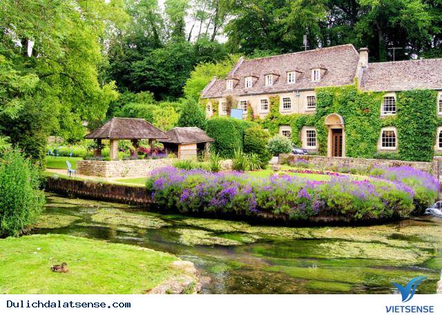 Thiên đường lạc lối giữa những khu vườn cổ tích ở Đà Lạt - Ảnh 6 Thiên đường lạc lối giữa những khu vườn cổ tích ở Đà Lạt - Ảnh 6