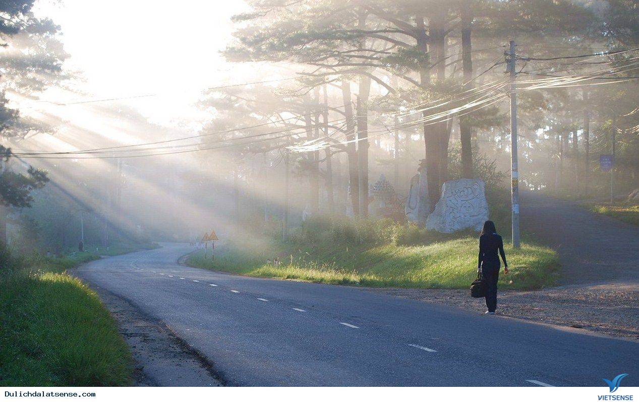 Nhiệt độ không khí Nhiệt độ không khí