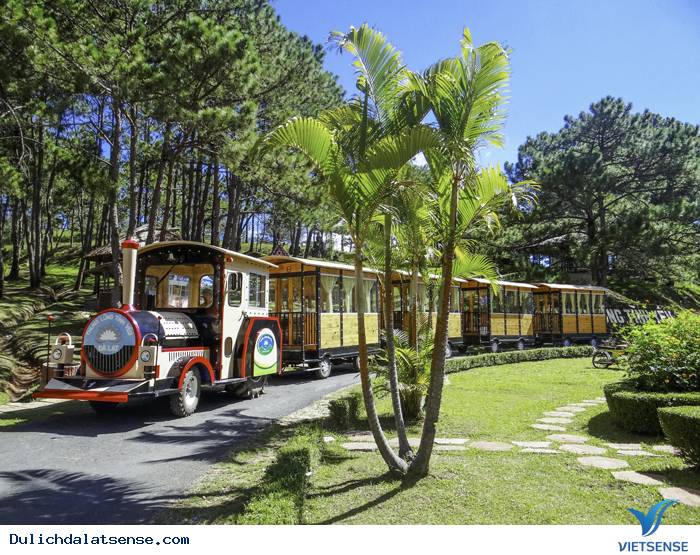 Tham Quan Thung Lũng Tình yêu Bằng Xe Lửa Tham Quan Thung Lũng Tình yêu Bằng Xe Lửa