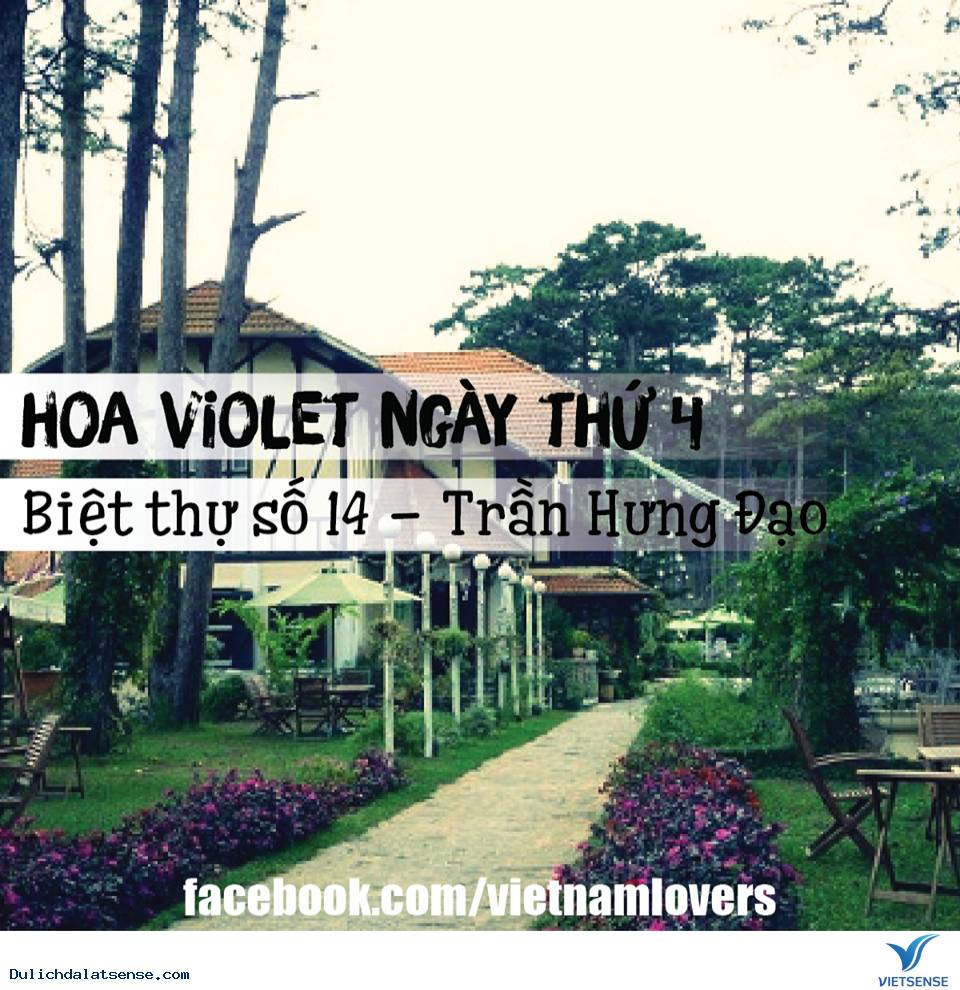 Top Những Thiên Đường Cafe View Cực Đẹp Tại Đà Lạt - Ảnh 5 Top Những Thiên Đường Cafe View Cực Đẹp Tại Đà Lạt - Ảnh 5