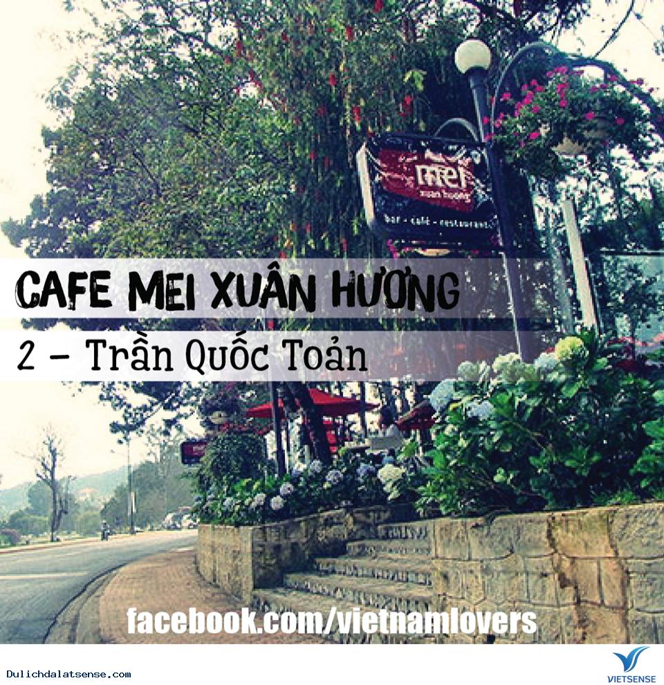 Top Những Thiên Đường Cafe View Cực Đẹp Tại Đà Lạt - Ảnh 9 Top Những Thiên Đường Cafe View Cực Đẹp Tại Đà Lạt - Ảnh 9