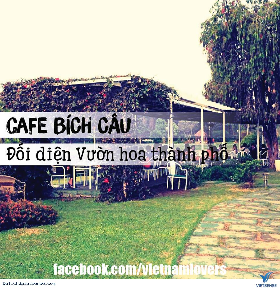 Top Những Thiên Đường Cafe View Cực Đẹp Tại Đà Lạt - Ảnh 14 Top Những Thiên Đường Cafe View Cực Đẹp Tại Đà Lạt - Ảnh 14