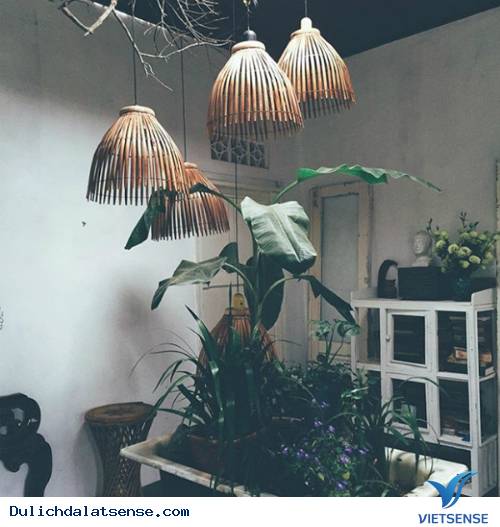 Nhà của Tre - Tres house - Ảnh 2