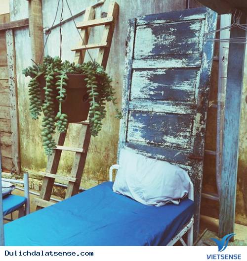 Nhà của Tre - Tres house - Ảnh 4