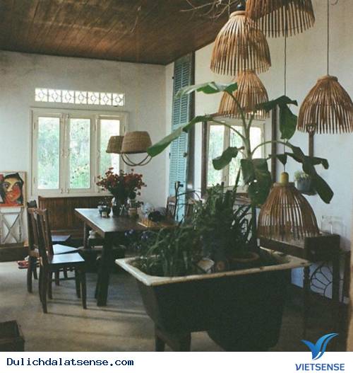 Nhà của Tre - Tres house - Ảnh 3