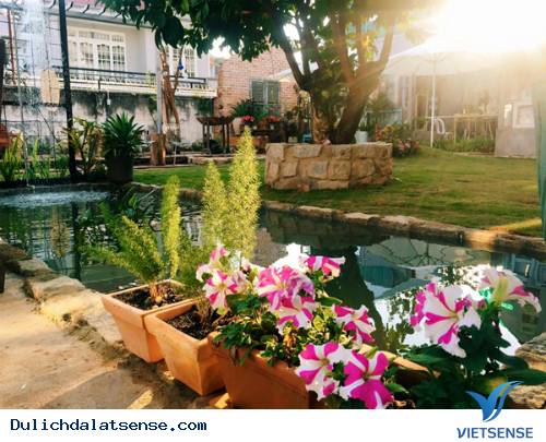 Là Nhà homestay - Ảnh 4