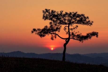 Triển Lãm Mây Nắng Cao Nguyên3 Triển Lãm Mây Nắng Cao Nguyên