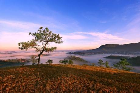 Triển Lãm Mây Nắng Cao Nguyên4 Triển Lãm Mây Nắng Cao Nguyên