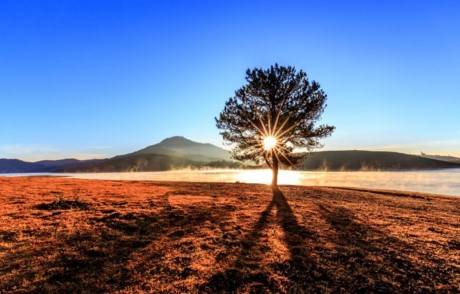 Triển Lãm Mây Nắng Cao Nguyên2 Triển Lãm Mây Nắng Cao Nguyên2