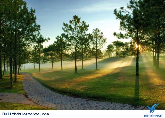 Vẻ đẹp của Đà Lạt - Ảnh 3