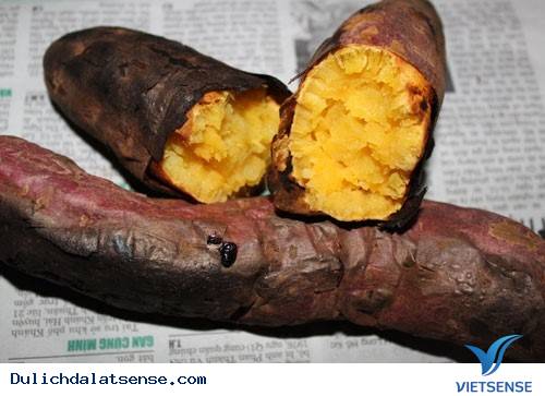 Vẻ Đẹp Giản Dị Của Đà Lạt Những Ngày Cuối Năm - Ảnh 24