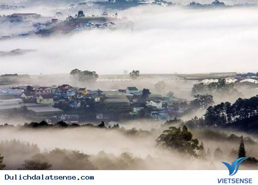 Vẻ Đẹp Giản Dị Của Đà Lạt Những Ngày Cuối Năm - Ảnh 3