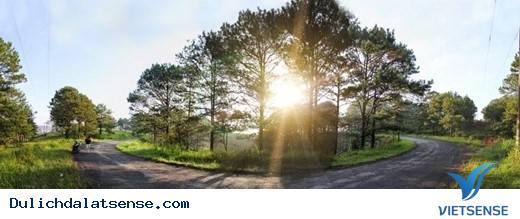 Vẻ Đẹp Giản Dị Của Đà Lạt Những Ngày Cuối Năm - Ảnh 12