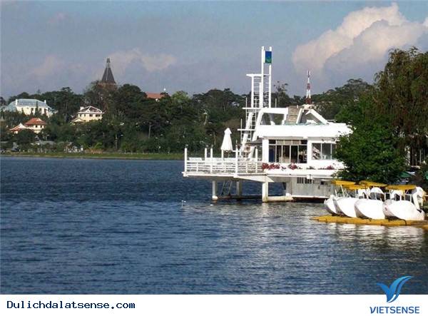 Vẻ Đẹp Giản Dị Của Đà Lạt Những Ngày Cuối Năm - Ảnh 18