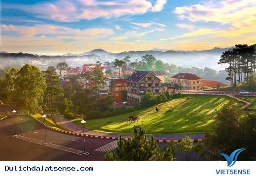 Vẻ Đẹp Giản Dị Của Đà Lạt Những Ngày Cuối Năm - Ảnh 2