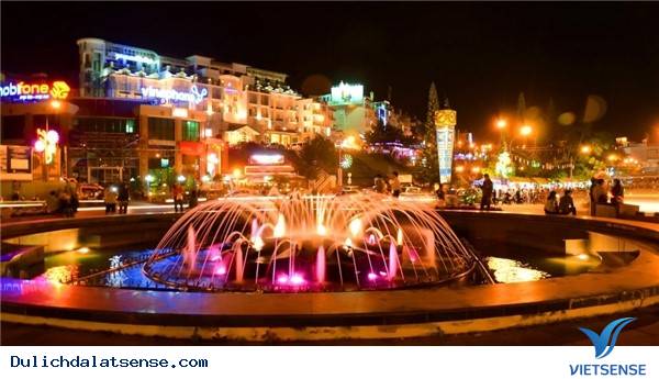 Vẻ Đẹp Giản Dị Của Đà Lạt Những Ngày Cuối Năm - Ảnh 15