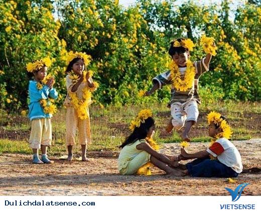 Vẻ Đẹp Giản Dị Của Đà Lạt Những Ngày Cuối Năm - Ảnh 4