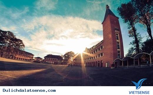 Vẻ Đẹp Giản Dị Của Đà Lạt Những Ngày Cuối Năm - Ảnh 14