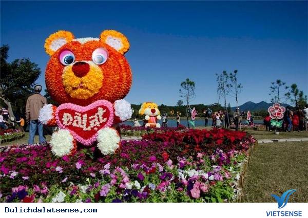 Vẻ Đẹp Giản Dị Của Đà Lạt Những Ngày Cuối Năm - Ảnh 9