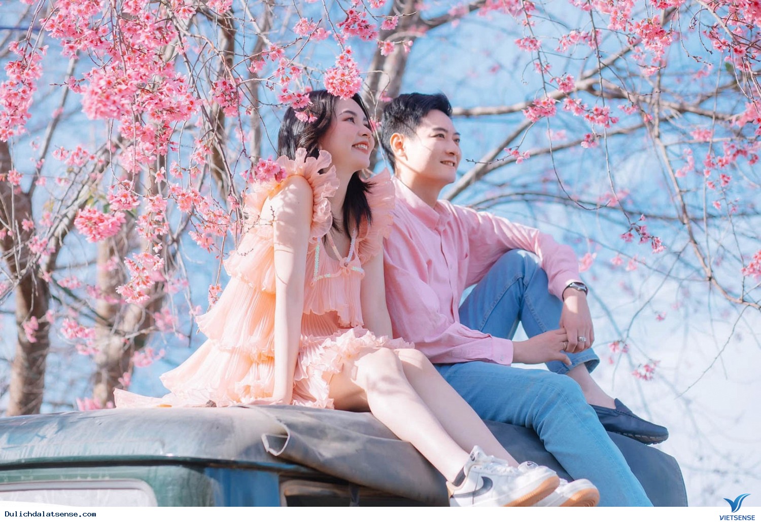 Các con đường ngắm hoa mai anh đào đẹp nhất - Ảnh 3 Các con đường ngắm hoa mai anh đào đẹp nhất - Ảnh 3