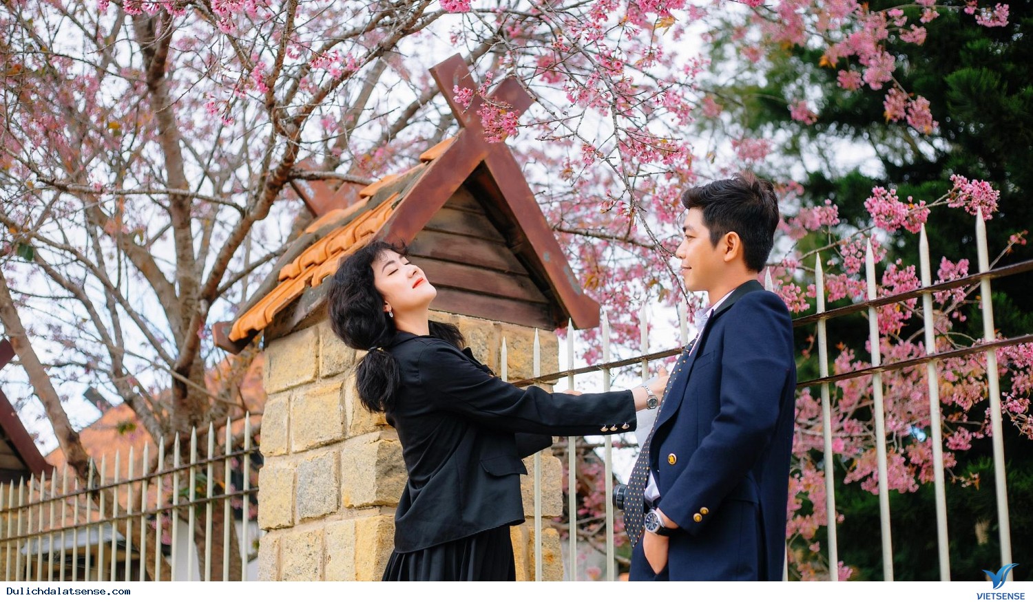 Loài hoa chỉ nở vào mùa xuân - Ảnh 3 Loài hoa chỉ nở vào mùa xuân - Ảnh 3