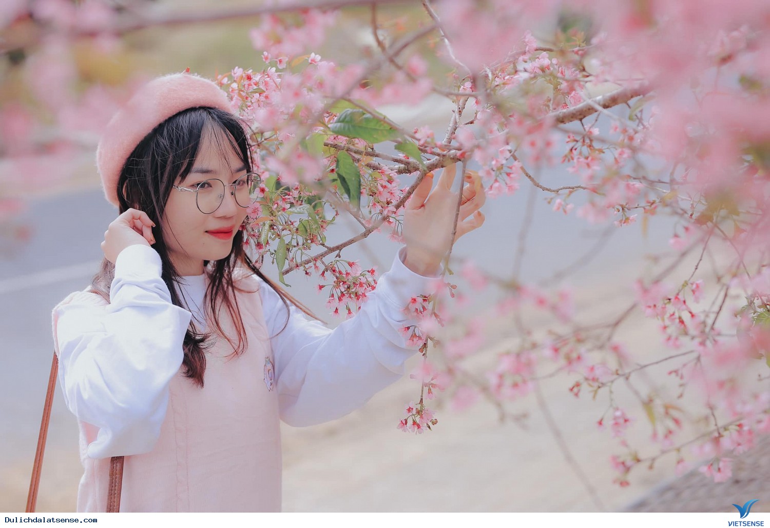 Giới thiệu - Ảnh 1 Giới thiệu - Ảnh 1