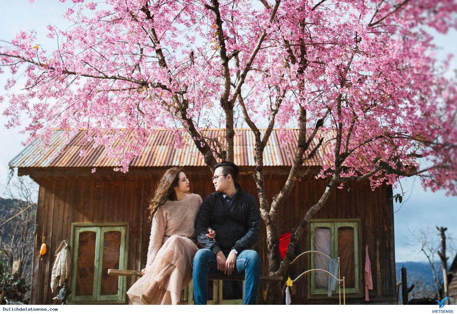 Giới thiệu - Ảnh 2 Giới thiệu - Ảnh 2