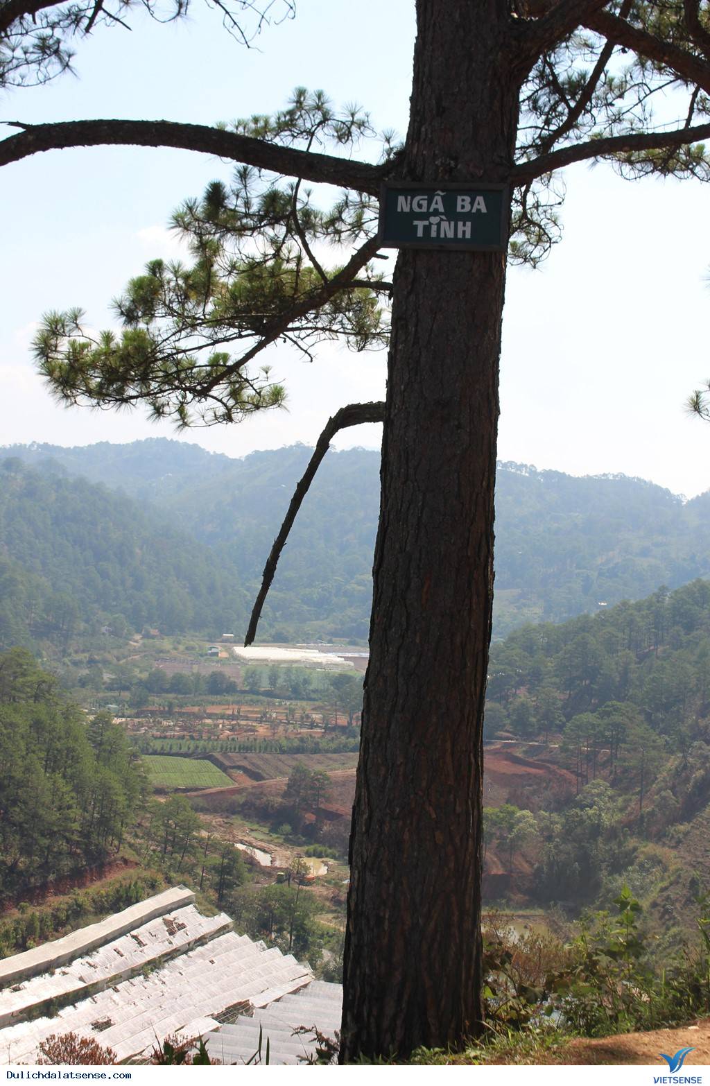 Vẻ Đẹp Mùa Hè Đà Lạt Và Những Điều Thú Vị Bất Ngờ9 Vẻ Đẹp Mùa Hè Đà Lạt Và Những Điều Thú Vị Bất Ngờ