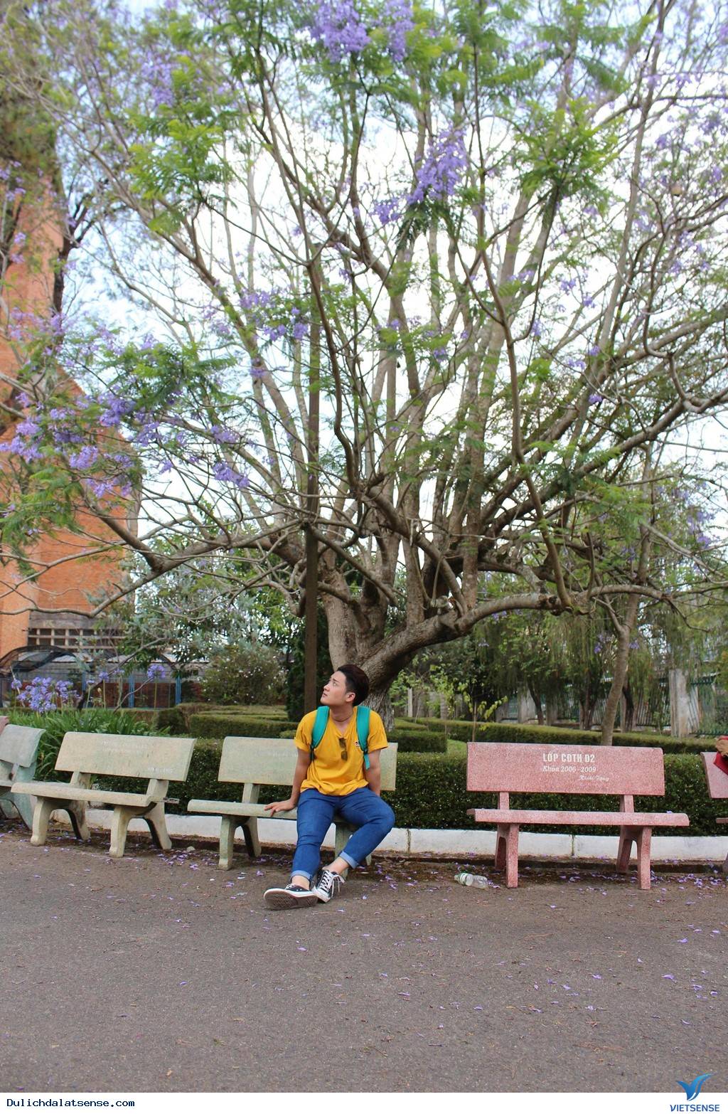 Vẻ Đẹp Mùa Hè Đà Lạt Và Những Điều Thú Vị Bất Ngờ2 Vẻ Đẹp Mùa Hè Đà Lạt Và Những Điều Thú Vị Bất Ngờ