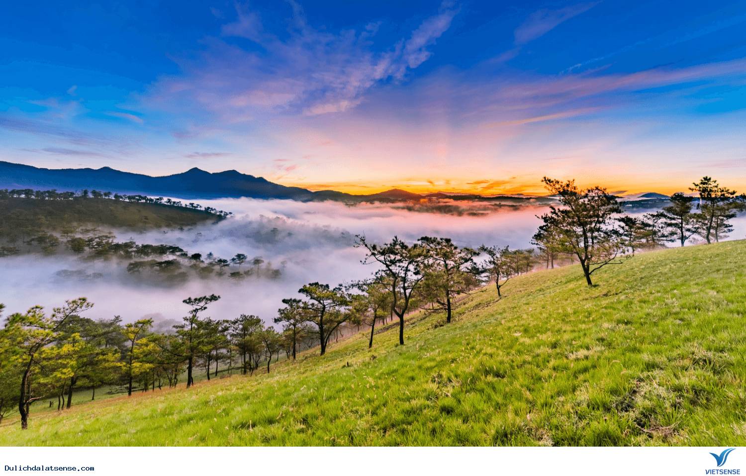 Vẻ đẹp quến rũ của Đà Lạt thành phố mộng mơ - Ảnh 2