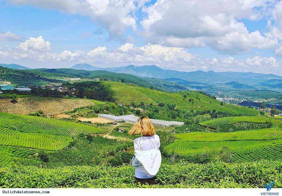 Vẻ đẹp quến rũ của Đà Lạt thành phố mộng mơ - Ảnh 5