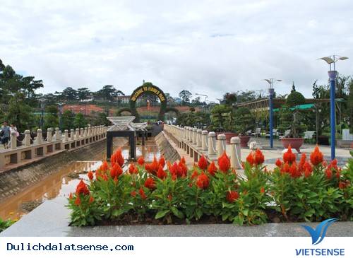 Vườn Hoa Thành Phố Đà Lạt – Trung Tâm Của Một Hoạt Động Sự Kiện - Ảnh 6 Vườn Hoa Thành Phố Đà Lạt – Trung Tâm Của Một Hoạt Động Sự Kiện - Ảnh 6